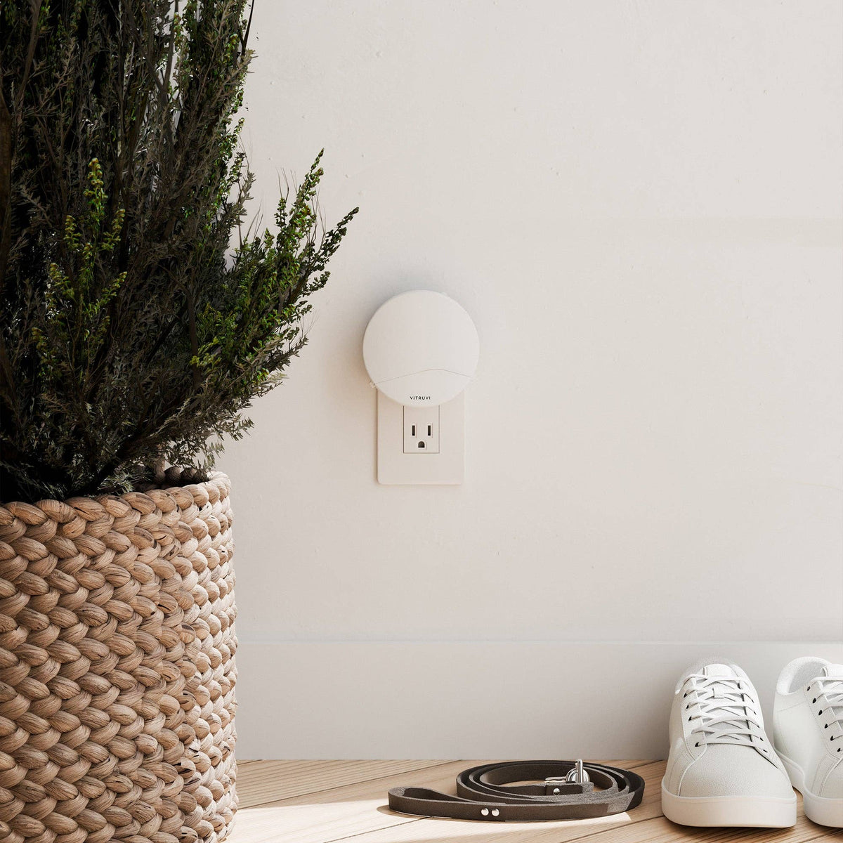 Vitruvi Push Plug-In Wall Diffuser