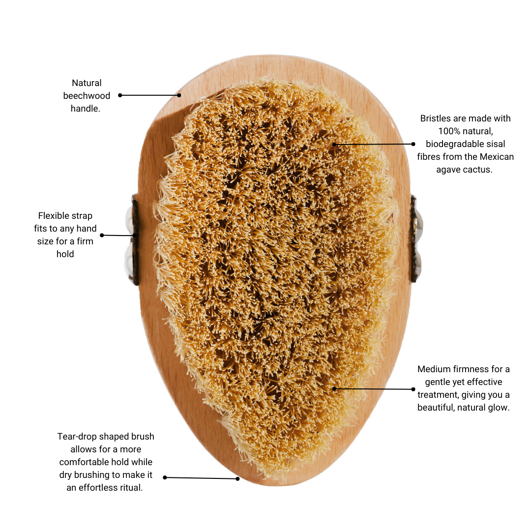 Mifa Detox Body Brush