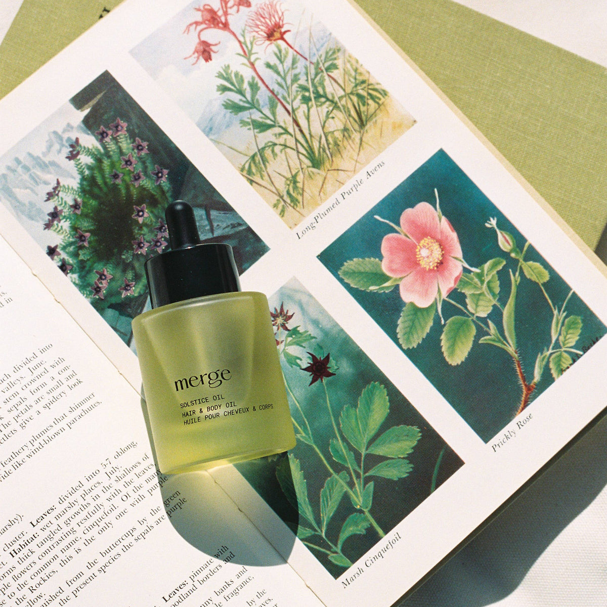 Merge Solstice Oil Hair and Body Oil