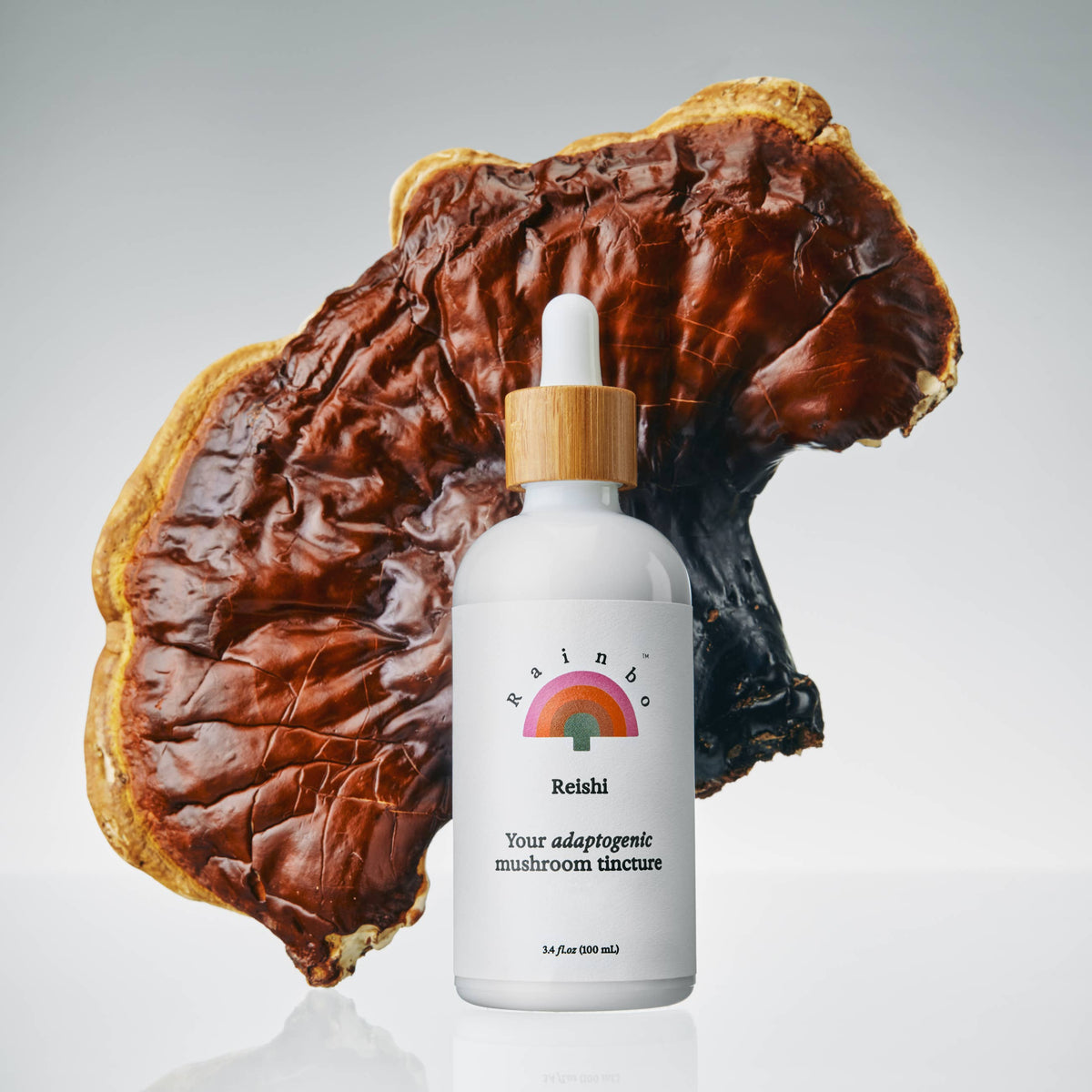 Rainbo Reishi Dual Extract Tincture